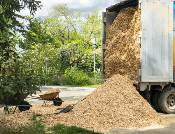 Wood Chips Delivery in Northville