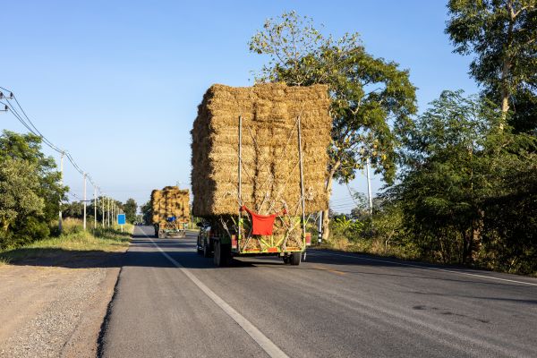 Pine Straw Delivery in Northville