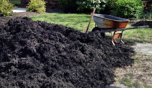 Black Mulch Delivery in Northville