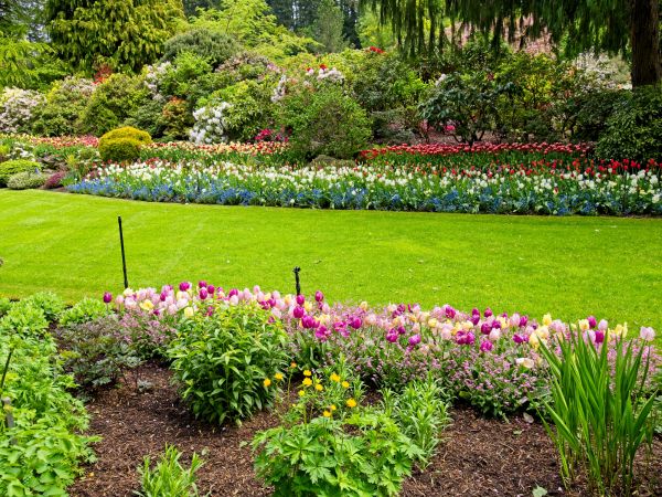 Residential Landscape Design in Northville
