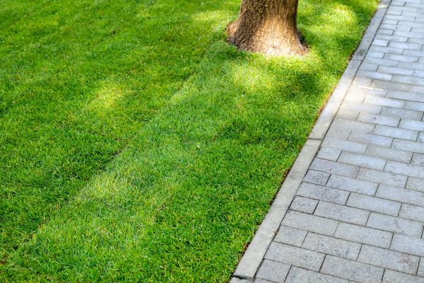 Border Stone Installation in Northville