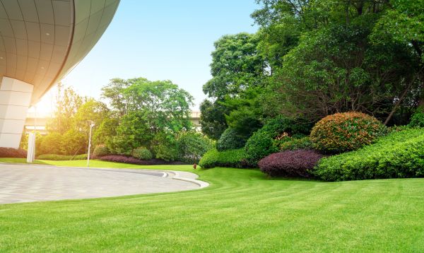 Business Landscape Design in Northville