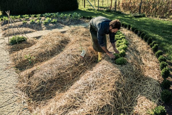 Straw Mulching Service in Northville