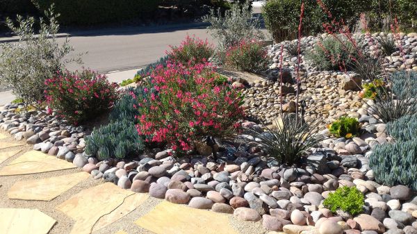 Xeriscape Landscaping in Northville