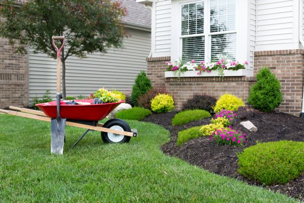 Tree And Shrub Planting in Northville