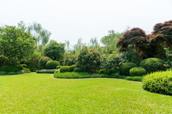 Tree Landscaping in Northville