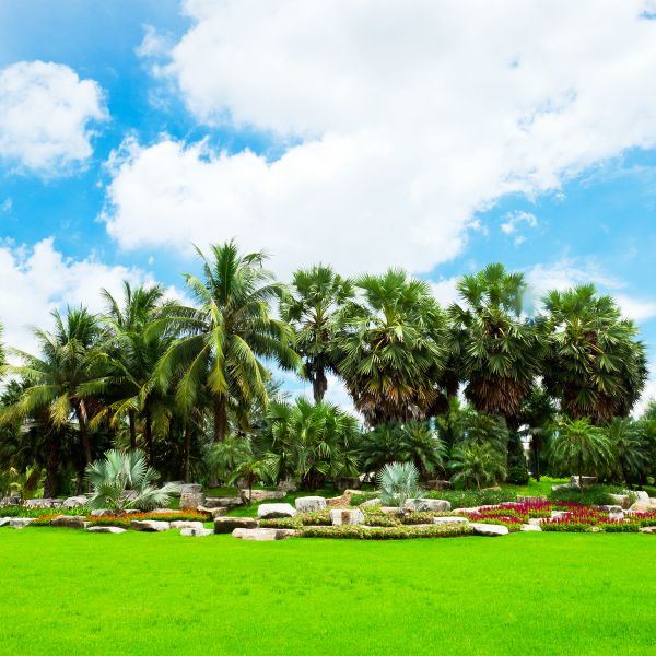 Tropical Landscaping in Northville