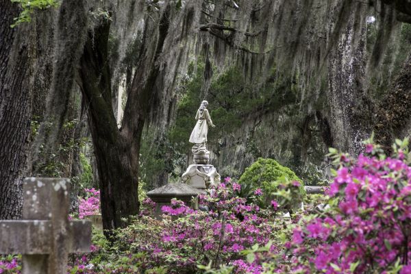 Cemetery Landscaping in Northville