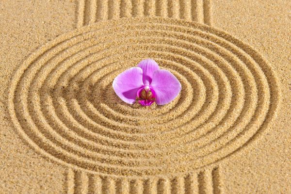 Sand Garden Landscaping in Northville