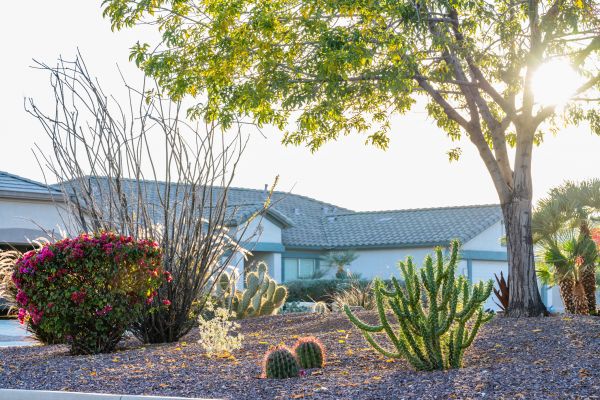 Dryscape Landscaping in Northville