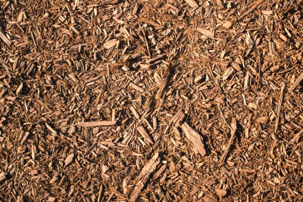 Wood Chips Removal in Northville