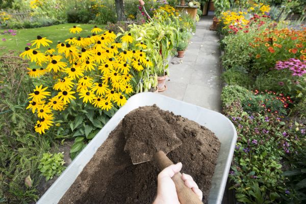Topsoil Replacement in Northville