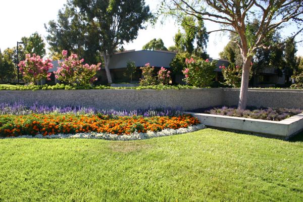 Commercial Landscape Service in Northville