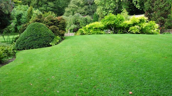 Commercial Landscape Design in Northville