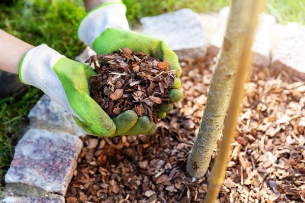 Tree Bark Delivery in Northville