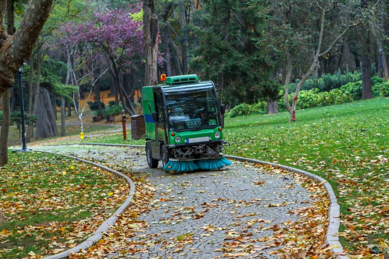 Clean Driveway After Leaf Removal