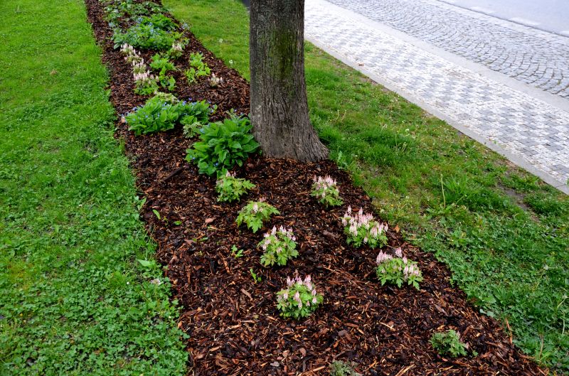Mulched Leaves on Garden Bed