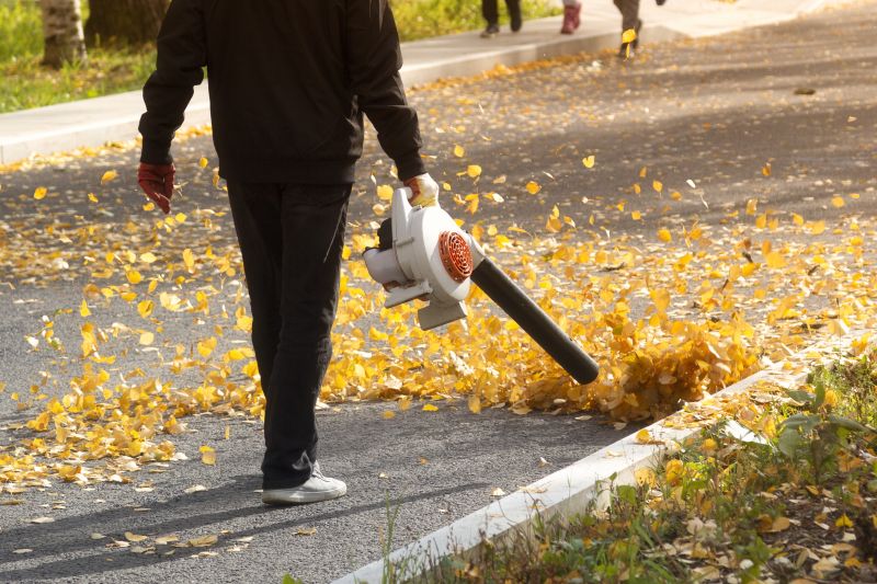 Leaf Blowing for Clean Landscapes