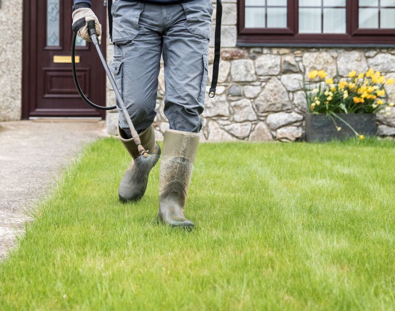 Damaged Yard Repair detail